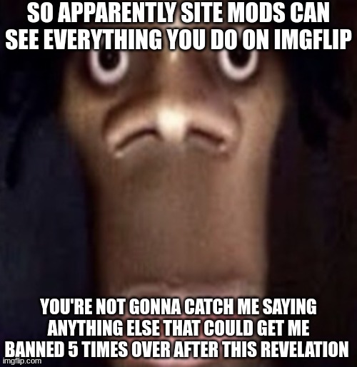 Quandale dingle | SO APPARENTLY SITE MODS CAN SEE EVERYTHING YOU DO ON IMGFLIP; YOU'RE NOT GONNA CATCH ME SAYING ANYTHING ELSE THAT COULD GET ME BANNED 5 TIMES OVER AFTER THIS REVELATION | image tagged in quandale dingle | made w/ Imgflip meme maker