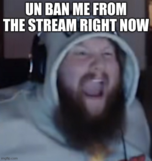 Angry Caseoh | UN BAN ME FROM THE STREAM RIGHT NOW | image tagged in angry caseoh | made w/ Imgflip meme maker