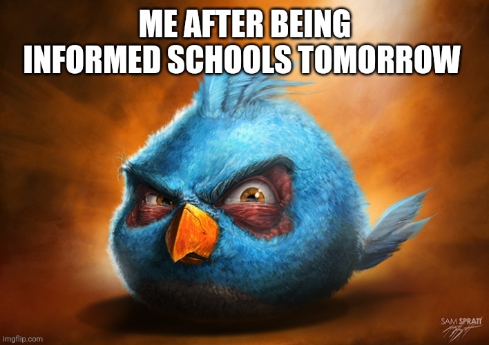 angry birds blue | ME AFTER BEING INFORMED SCHOOLS TOMORROW | made w/ Imgflip meme maker