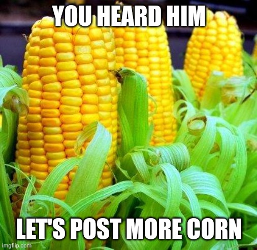 CORN meme | YOU HEARD HIM LET'S POST MORE CORN | image tagged in corn meme | made w/ Imgflip meme maker