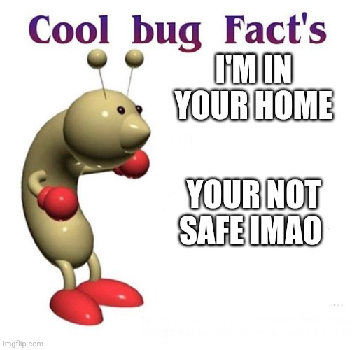 Cool Bug Facts | I'M IN YOUR HOME; YOUR NOT SAFE IMAO | image tagged in cool bug facts | made w/ Imgflip meme maker