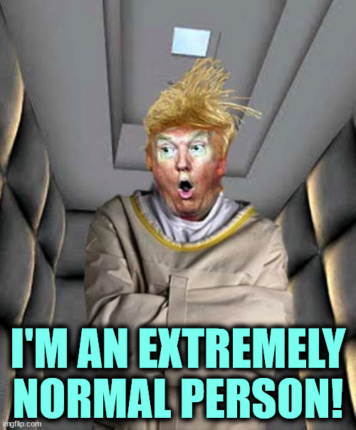 Nope. | I'M AN EXTREMELY NORMAL PERSON! | image tagged in trump insane strait jacket rubber room,trump,normal,insane,mental illness,malignant narcissist | made w/ Imgflip meme maker