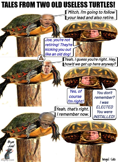 Tales from two old useless turtles | TALES FROM TWO OLD USELESS TURTLES! Mitch, I'm going to follow
your lead and also retire. Joe, you're not
retiring! They're
kicking you out
like an old dog! Yeah, I guess you're right. Hey,
how'd we get up here anyway? Yes, of
course 
I'm right! You don't
remember?
I was 
ELECTED
You were
INSTALLED! Yeah, that's right.
 I remember now. Bye
Joe! Angel Soto | image tagged in joe biden and mitch mcconnell 2 old useless turtles,joe biden,mitch mcconnell,retire,turtles,rigged elections | made w/ Imgflip meme maker