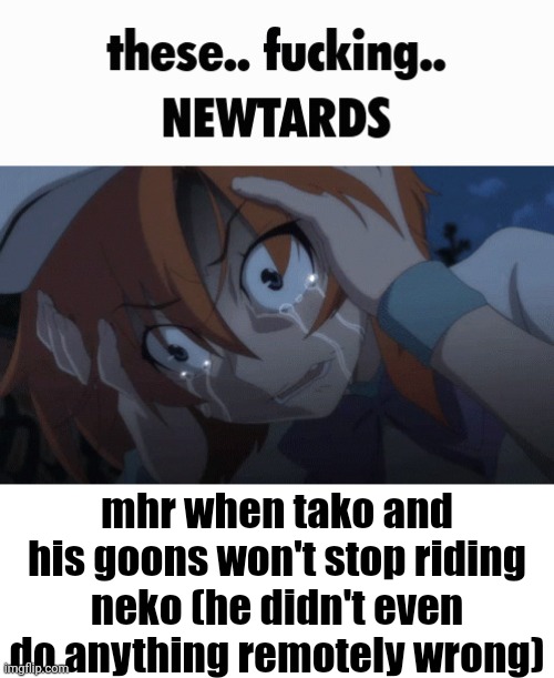 these.. fucking.. NEWTARDS | mhr when tako and his goons won't stop riding neko (he didn't even do anything remotely wrong) | image tagged in these fucking newtards | made w/ Imgflip meme maker