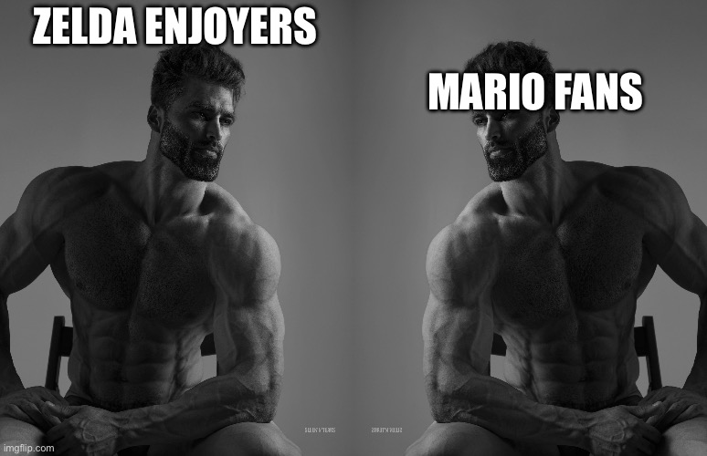 ZELDA ENJOYERS MARIO FANS | image tagged in giga chad | made w/ Imgflip meme maker