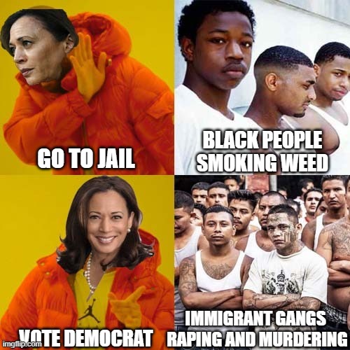 Kamala's Choice | GO TO JAIL; VOTE DEMOCRAT | image tagged in kamala's choice | made w/ Imgflip meme maker