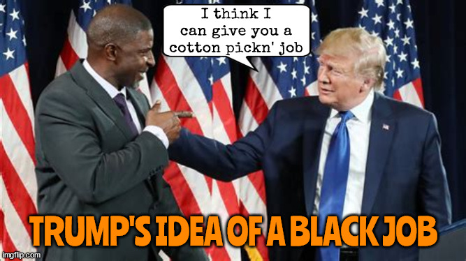 Black Job | I think I can give you a cotton pickn' job; TRUMP'S IDEA OF A BLACK JOB | image tagged in trump racism,trump's prejudice,trump's facism,maga minority,cotton picker,black jobs | made w/ Imgflip meme maker