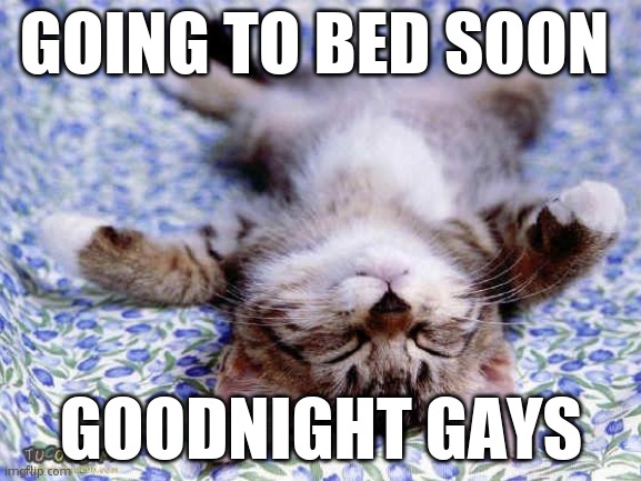 UpsideDwon Sleeping Cat | GOING TO BED SOON; GOODNIGHT GAYS | image tagged in upsidedwon sleeping cat | made w/ Imgflip meme maker