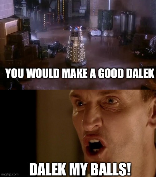 The Doctor’s response | YOU WOULD MAKE A GOOD DALEK; DALEK MY BALLS! | image tagged in dr who | made w/ Imgflip meme maker