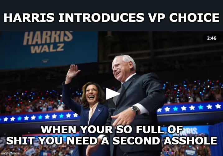 HARRIS INTRODUCES VP CHOICE WHEN YOUR SO FULL OF SHIT YOU NEED A SECOND ASSHOLE | made w/ Imgflip meme maker