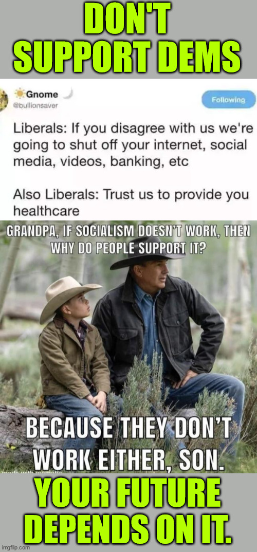 Dem "democracy"  is not democracy | DON'T SUPPORT DEMS; YOUR FUTURE DEPENDS ON IT. | image tagged in dems suck,want your freedoms taken away | made w/ Imgflip meme maker