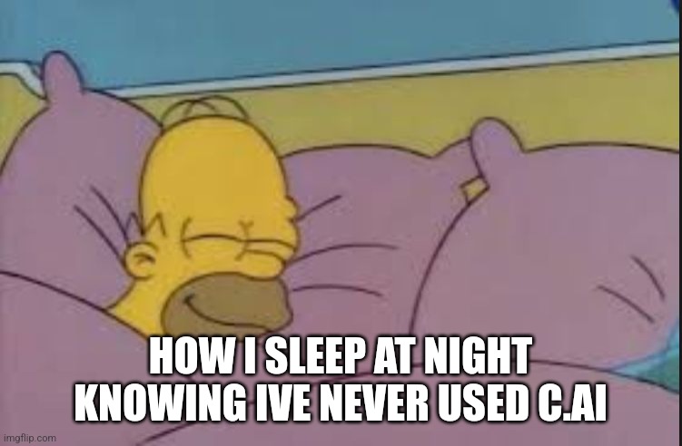 how i sleep homer simpson | HOW I SLEEP AT NIGHT KNOWING IVE NEVER USED C.AI | image tagged in how i sleep homer simpson | made w/ Imgflip meme maker