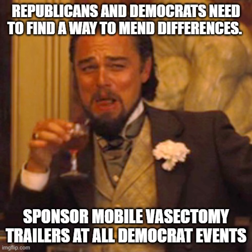 Republicans + Democrats Unite | REPUBLICANS AND DEMOCRATS NEED TO FIND A WAY TO MEND DIFFERENCES. SPONSOR MOBILE VASECTOMY TRAILERS AT ALL DEMOCRAT EVENTS | image tagged in memes,laughing leo | made w/ Imgflip meme maker