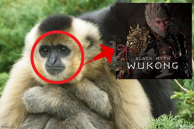 image tagged in memes,gibbons,black myth wukong,shitpost,funny memes,funny animal meme | made w/ Imgflip meme maker