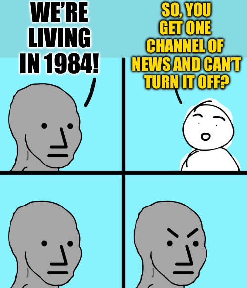 1984 LARPers | WE’RE LIVING IN 1984! SO, YOU GET ONE 
CHANNEL OF 
NEWS AND CAN’T TURN IT OFF? | image tagged in angry wojack,1984,dystopia,political meme,political humor,news | made w/ Imgflip meme maker