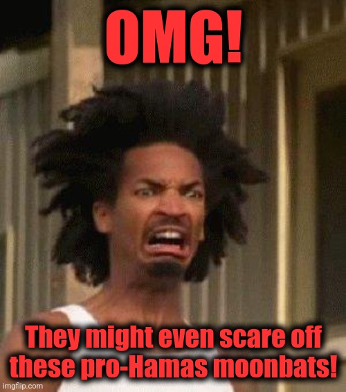 Disgusted Face | OMG! They might even scare off
these pro-Hamas moonbats! | image tagged in disgusted face | made w/ Imgflip meme maker