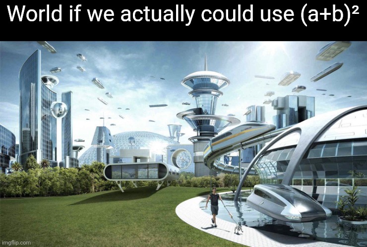 Bet 90% of us are not going to use this in our careers | World if we actually could use (a+b)² | image tagged in the future world if,maths | made w/ Imgflip meme maker