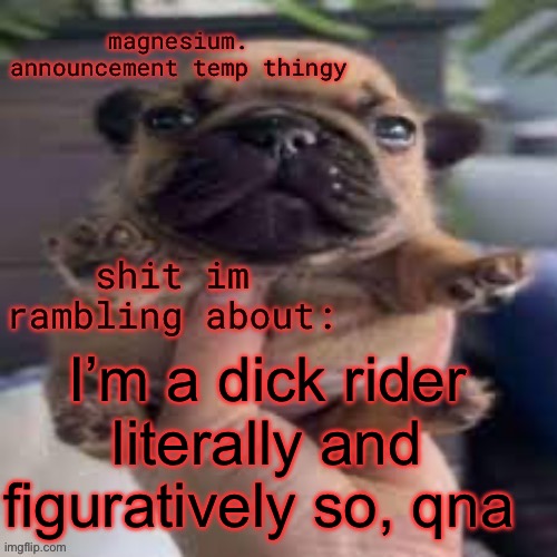 pug temp | I’m a dick rider literally and figuratively so, qna | image tagged in pug temp | made w/ Imgflip meme maker