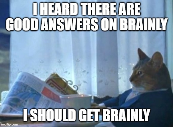 Especially for a homeschooler :-] | I HEARD THERE ARE GOOD ANSWERS ON BRAINLY; I SHOULD GET BRAINLY | image tagged in memes,i should buy a boat cat | made w/ Imgflip meme maker