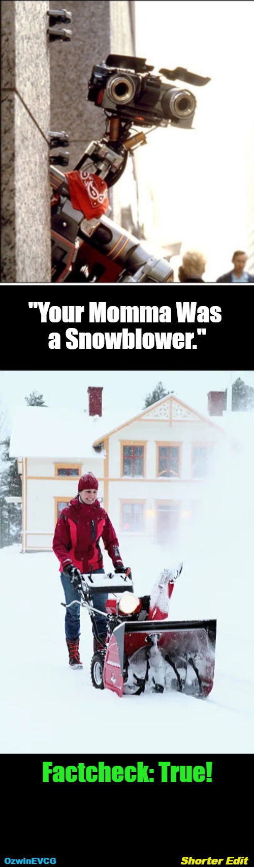 Shorter Edit | "Your Momma Was 

a Snowblower."; Factcheck: True! Shorter Edit; OzwinEVCG | image tagged in winter,chores,cocaine,short circuit,your mom,your eyeroll | made w/ Imgflip meme maker