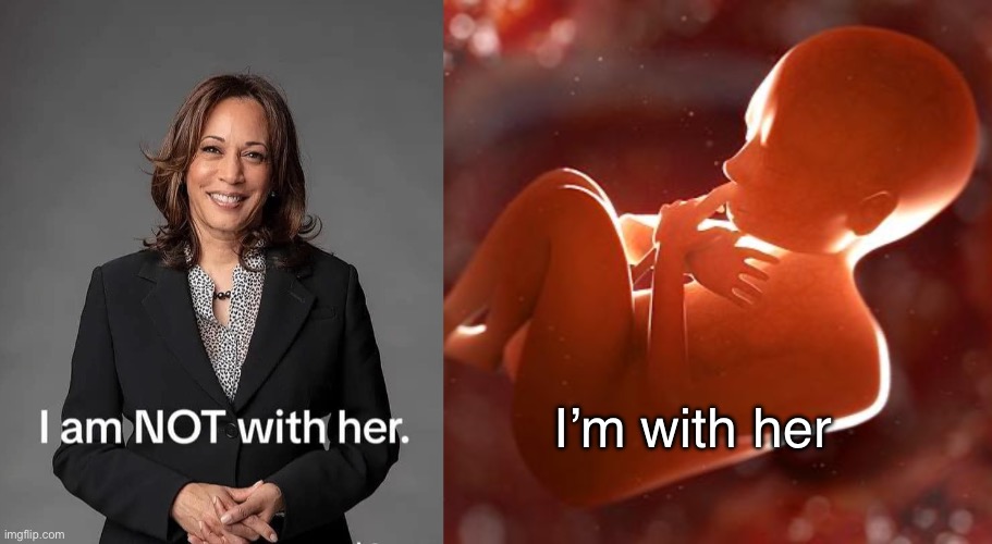 She has lots of compassion for criminals, but not for… | I’m with her | image tagged in thinking fetus,kamala harris,abortion is murder,right to life | made w/ Imgflip meme maker