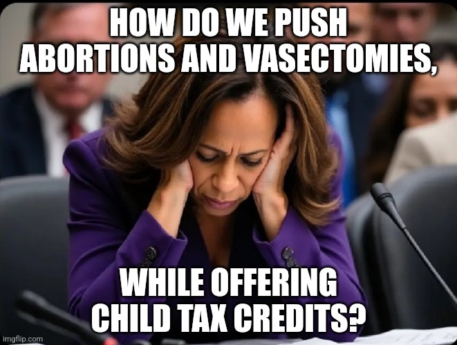 It takes a Special type of Evil... | HOW DO WE PUSH ABORTIONS AND VASECTOMIES, WHILE OFFERING CHILD TAX CREDITS? | image tagged in memes,politics,democrats,republicans,kamala harris,trending | made w/ Imgflip meme maker