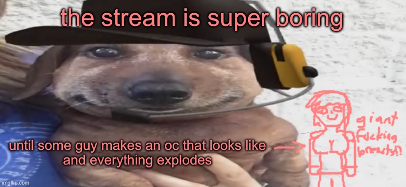 chucklenuts | the stream is super boring; until some guy makes an oc that looks like
and everything explodes | image tagged in chucklenuts | made w/ Imgflip meme maker