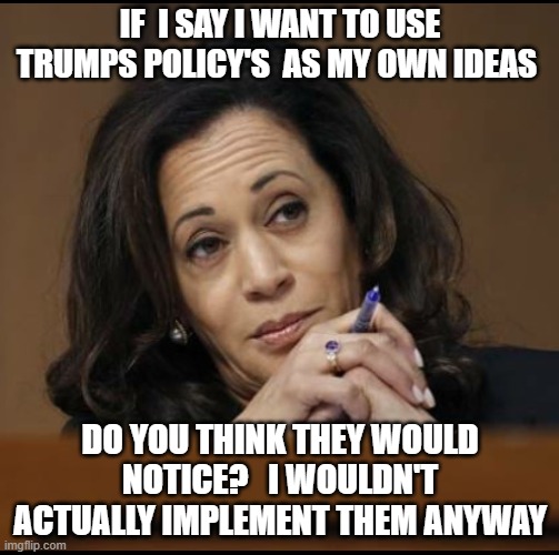 Kamala Harris  | IF  I SAY I WANT TO USE TRUMPS POLICY'S  AS MY OWN IDEAS; DO YOU THINK THEY WOULD NOTICE?   I WOULDN'T ACTUALLY IMPLEMENT THEM ANYWAY | image tagged in kamala harris | made w/ Imgflip meme maker