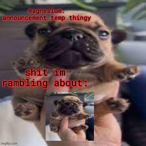 pug temp | image tagged in pug temp | made w/ Imgflip meme maker