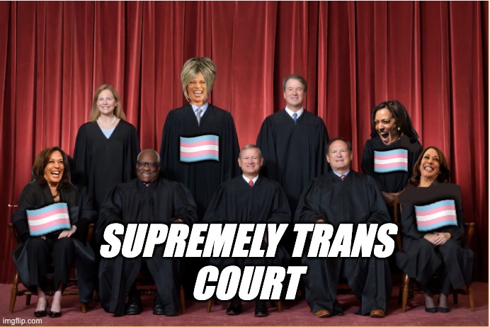 🏳️‍⚧️; 🏳️‍⚧️; 🏳️‍⚧️; 🏳️‍⚧️; SUPREMELY TRANS
COURT | image tagged in memes,supreme court,gender identity,trans,title ix,democrats | made w/ Imgflip meme maker