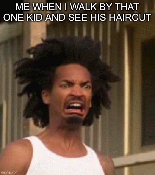 True story, there’s that one kid at school who has an ugly ahh haircut | ME WHEN I WALK BY THAT ONE KID AND SEE HIS HAIRCUT | image tagged in disgusted face | made w/ Imgflip meme maker