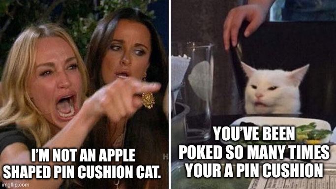 Angry lady cat | I’M NOT AN APPLE SHAPED PIN CUSHION CAT. YOU’VE BEEN POKED SO MANY TIMES YOUR A PIN CUSHION | image tagged in angry lady cat | made w/ Imgflip meme maker