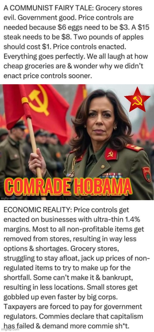 Hobama's Communist Fairy Tale | image tagged in comrade hobama,fairy tail,communist | made w/ Imgflip meme maker