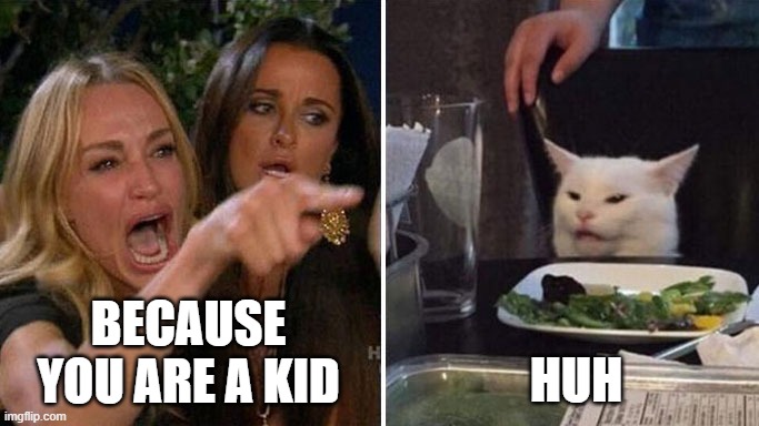 average people who hate someone on the internet | BECAUSE YOU ARE A KID; HUH | image tagged in angry lady cat,internet,hate | made w/ Imgflip meme maker