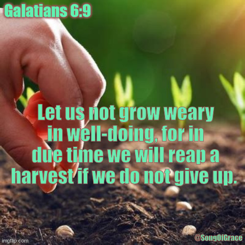 Galatians 6:9 | Galatians 6:9; Let us not grow weary in well-doing, for in due time we will reap a harvest if we do not give up. @SongOfGrace | image tagged in biblical encouragement | made w/ Imgflip meme maker