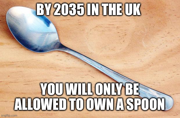 Spoon | BY 2035 IN THE UK YOU WILL ONLY BE ALLOWED TO OWN A SPOON | image tagged in spoon | made w/ Imgflip meme maker