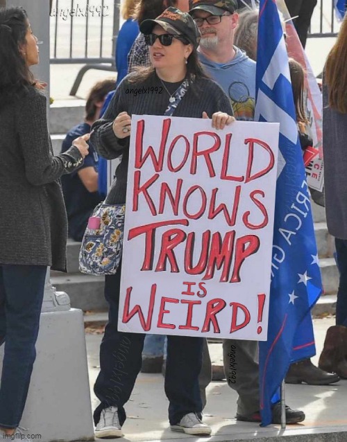 image tagged in weirdo,weird,maga weird,maga cult,donald trump is an idiot,clown car republicans | made w/ Imgflip meme maker