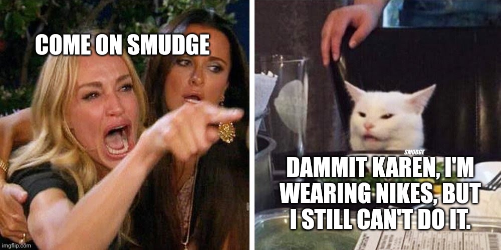 Smudge that darn cat with Karen | COME ON SMUDGE; DAMMIT KAREN, I'M WEARING NIKES, BUT I STILL CAN'T DO IT. | image tagged in smudge that darn cat with karen | made w/ Imgflip meme maker