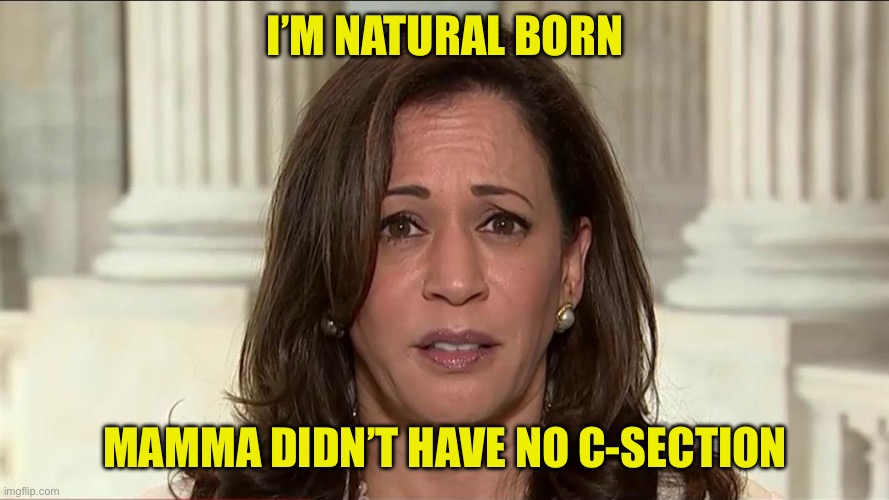 kamala harris | I’M NATURAL BORN MAMMA DIDN’T HAVE NO C-SECTION | image tagged in kamala harris | made w/ Imgflip meme maker