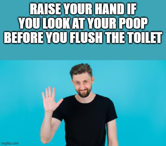 If You Look At Your Poop Before You Flush The Toilet | RAISE YOUR HAND IF YOU LOOK AT YOUR POOP BEFORE YOU FLUSH THE TOILET | image tagged in raise your hand,hand,poop,toilet,funny,memes | made w/ Imgflip meme maker