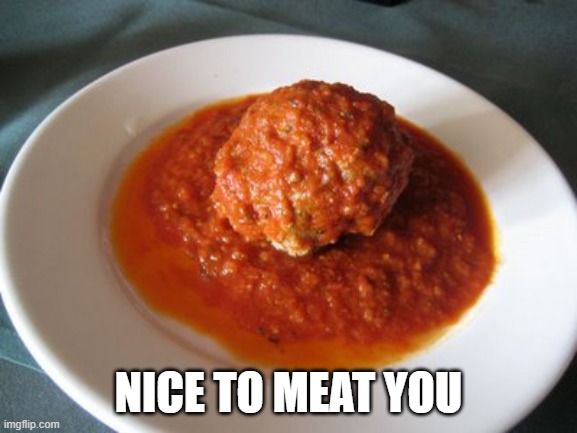 Meatball | NICE TO MEAT YOU | image tagged in meatball | made w/ Imgflip meme maker