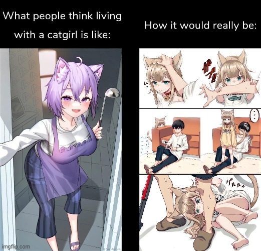 Good enough | image tagged in anime,memes,why are you reading this,why are you reading the tags | made w/ Imgflip meme maker