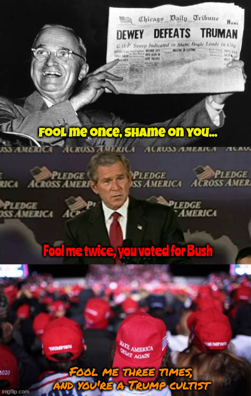 Fool me once shame on you. | Fool me once, shame on you... Fool me twice, you voted for Bush; Fool me three times, and you're a Trump cultist | image tagged in fools,sheeple,maga morons,dubya,dewey loses,trumpers | made w/ Imgflip meme maker