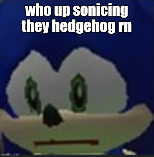 :( | who up sonicing they hedgehog rn | made w/ Imgflip meme maker