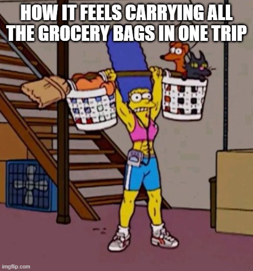 grocery bags | HOW IT FEELS CARRYING ALL THE GROCERY BAGS IN ONE TRIP | image tagged in memes | made w/ Imgflip meme maker