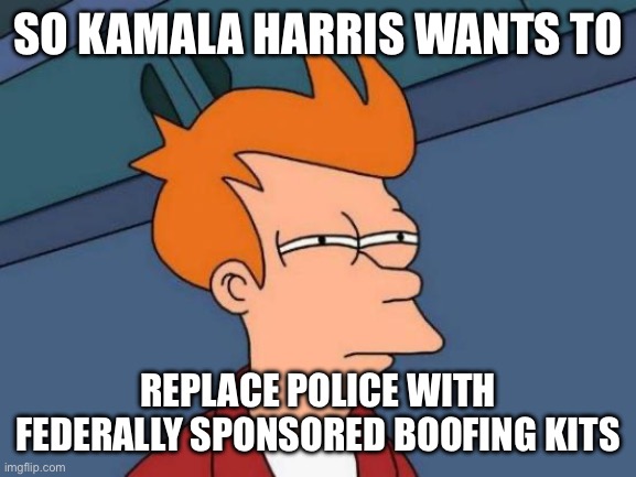 Futurama Fry | SO KAMALA HARRIS WANTS TO; REPLACE POLICE WITH FEDERALLY SPONSORED BOOFING KITS | image tagged in memes,futurama fry | made w/ Imgflip meme maker