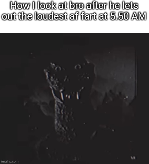 Godzilla analog | How I look at bro after he lets out the loudest af fart at 5.50 AM | image tagged in godzilla analog | made w/ Imgflip meme maker