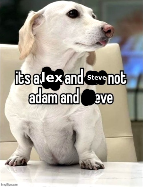 Steve; lex | made w/ Imgflip meme maker