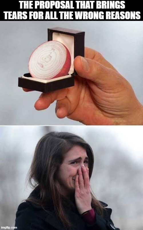 proposal | THE PROPOSAL THAT BRINGS TEARS FOR ALL THE WRONG REASONS | image tagged in memes | made w/ Imgflip meme maker