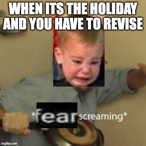 Fear Screaming | WHEN ITS THE HOLIDAY AND YOU HAVE TO REVISE | image tagged in fear screaming | made w/ Imgflip meme maker